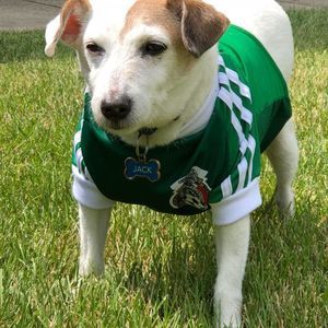 Meet your Posher, Lyan